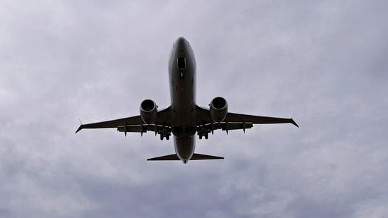 A Boeing 737 MAX(REUTERS)