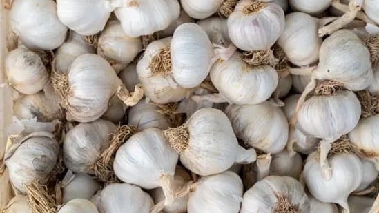 Garlic prices have skyrocketed across the country, reaching <span class=